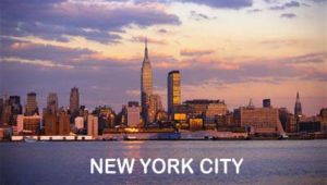 Best spine surgeon nyc new york